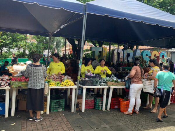 El Salvador enfrenta crisis agrícola: Productores luchan contra sequías y aumento de costos